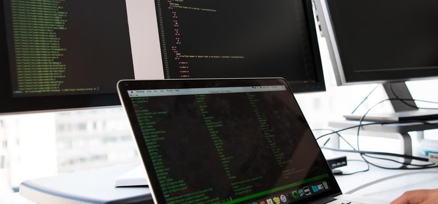 Software Development
